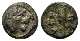 Thracia, Chersonesos, c. 386-309 BC. Æ (10,7mm, 1g). Roaring head of lion r. R/ Barley grain; XEP-PO above and below. Traité IV, 1577; HGC 3.2, 1440. ...