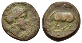 Thessaly, Larissa, c. 380-337 BC. Æ (17mm, 4.76g). Head of the nymph Larissa r. R/ Horse grazing l.; in ex., ΛAPI. Rogers 294; SNG Copenhagen 143.