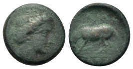 Thessaly, Larissa, c. mid-late 4th century BC. Æ Chalkous (16,5mm, 3.6g). Head of the nymph Larissa r. R/ Horse left. BCD Thessaly II 392.1-2.