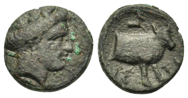 Euboia, Histiaia. 4th-3rd centuries BC. Æ (13,6mm, 2.10 g). Wreathed head of nym...