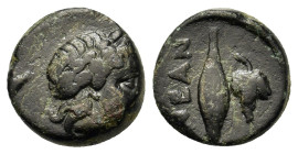 Troas, Neandria, 4th century BC. Æ (10,9mm, 1.4g). Laureate head of Apollo r. R/ Barley grain; grape bunch to r. SNG Ashmolean 1174; SNG von Aulock 15...