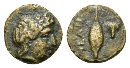 Troas, Neandria, c. 4th century BC. Æ (10,6mm, 1.1g). Laureate head of Apollo r. R/ Barley grain and bunch of grapes; above and below. BMC 4; SNG Cope...