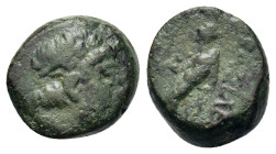 Seleukid Kings. Antiochos III (222-187 BC). Æ (11,8mm, 2.2g). Uncertain mint in southern Coelesyria. Laureate head of Apollo r. R/ Apollo standing l.,...