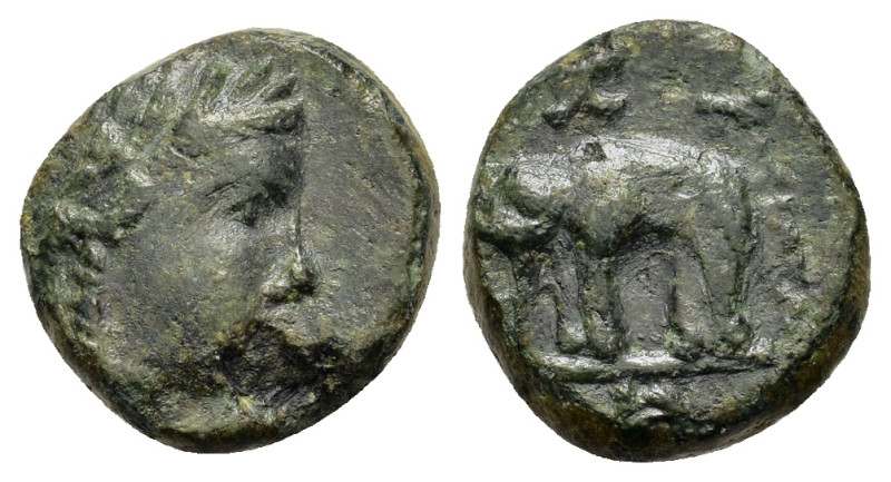 Seleukid Kings. Antiochos III (222-187 BC). Æ (12,2mm, 2g). Laureate head of Apo...