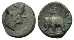 Seleukid Kings. Antiochos III (222-187 BC). Æ (12,6mm, 1.8g). Laureate head of Apollo r. R/ Elephant walking l. Cf. SC 980.