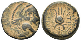 Seleukid Kings. Antiochos VII Euergetes (138-129 BC). Æ (17,7mm, 4.9g). Antioch mint. Dated SE 175 (138/7 BC). Winged bust of Eros r. R/ Isis headdres...