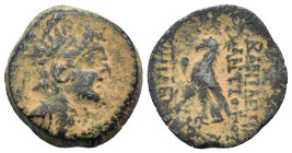 Seleukid Kings. Antiochos VIII Epiphanes (121/0-97/6 BC). Æ (18,8mm, 5.5g). Antioch on the Orontes. Diademed and radiate head r. R/ Eagle standing l. ...