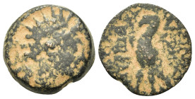 Seleukid Kings. Antiochos VIII Epiphanes (121/0-97/6 BC). Æ (17mm, 4.8g). Antioch on the Orontes. Diademed and radiate head r. R/ Eagle standing l. on...
