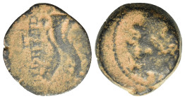 Seleukid Kings. Antiochos VIII Epiphanes (121/0-97/6 BC). Æ (17,4mm, 5g). Antioch on the Orontes. Diademed and radiate head r. R/ Filleted double corn...