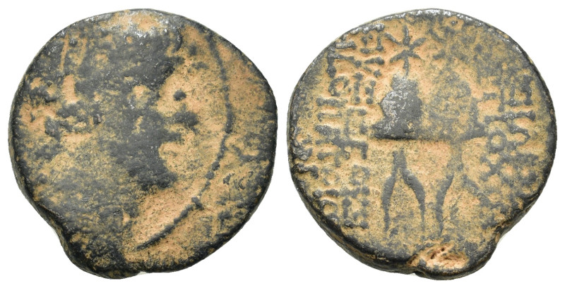 Seleukid Kings. Antiochos X Eusebes Philopator (94-88 BC). Æ (19mm, 6.3g). Uncer...