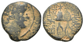 Seleukid Kings. Antiochos X Eusebes Philopator (94-88 BC). Æ (19mm, 6.3g). Uncertain mint in Northern Syria. Struck circa 94 BC. Diademed head r. R/ P...