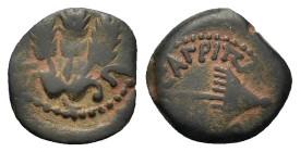Judea, Herodian Dynasty. Herod Agrippa I (37-44). Æ prutah (2.33g). Jerusalem mint. An umbrella-like canopy with fringes; BACIΛEWC AΓPIΠA around (part...