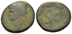 Domitian (81-96). Seleucis and Pieria, Antioch. Æ (26,3mm, 15.6g). Laureate head l. R/ Large SC within wreath; Є below. RPC II, 2023.