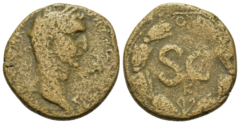 Nerva (96-98). Seleucis and Pieria, Antioch. Æ (26,2mm, 12g). Laureate head r. R...