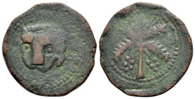 Italy, Messina. Guglielmo II (1166-1189). Æ Trifollaro (26mm, 10.35g, 12h). Head of lion. R/ Palm tree. Spahr 117; MIR 36.