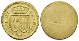 Monetary weight for the Doppia of Luigi of France. (22,6mm, 7.6g)