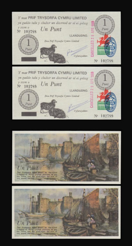 Wales - Black Sheep Company One Punt, red dragon and Two Pence blue stamp at rig...