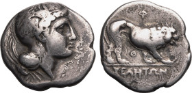 MAGNA GRAECIA. LUCANIA, VELIA. 
Silver stater, circa 340-334 BC. 
Obv: head of Athena right, wearing crested Attic helmet decorated with griffin. Re...