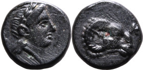 ANCIENT GREECE. TROAS, KEBREN. 
Bronze ae9, circa 400-310 BC. 
Obv: laureate head of Apollo right. Rev: ram head right; K above.
About Extremely Fi...