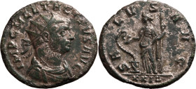 ROMAN EMPIRE. Tacitus. 
Billon antoninianus, AD 275-276. Rome. 
Obv: IMP C M CL TACITVS AVG, radiate, draped and cuirassed bust right. Rev: SALVS AV...