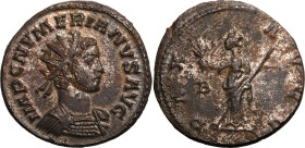 ROMAN EMPIRE. Numerian. 
Billon antoninianus, AD 283-284. Lugdunum. 
Obv: IMP C NVMERIANVS AVG, radiate and cuirassed bust right. Rev: PAX AVGG, Pax...