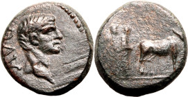 ROMAN PROVINCIAL. MACEDON, PHILIPPI(?). Augustus. 
Bronze ae18, 27 BC - AD 14. 
Obv: AVG, bare head right. Rev: two priests ploughing right.
About ...