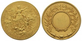 France, Third Republic 1870-1940.
Gold medal,"FLORES FLORADAT HORTVS FIT MIRABILIS ARTE". AU 12.4 g 27 mm
XF, shock on the edge