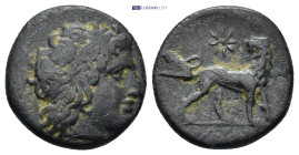 Ionia. Miletos circa 190 BC. AE (4.25 Gr. 17mm.) 
 Laureate head of Apollo right, within dotted border 
Rev. Lion advancing right, head reverted, star...