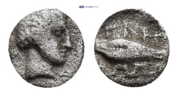 Ionia. Magnesia ad Maeander . 465-459 BC. Hemiobol AR.(6mm, 0.24 g). Male head (Themistokles?) right. Rev. Barley grain.