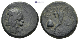 Mysia, Adramytion. Ae, (20mm, 7.62 g). 2nd century BC. Obv: Laureate head of Apollo left. Rev.: ΑΔΡΑΜΥΤΗΝΩΝ; Cornucopia between two pilei of the Diosc...