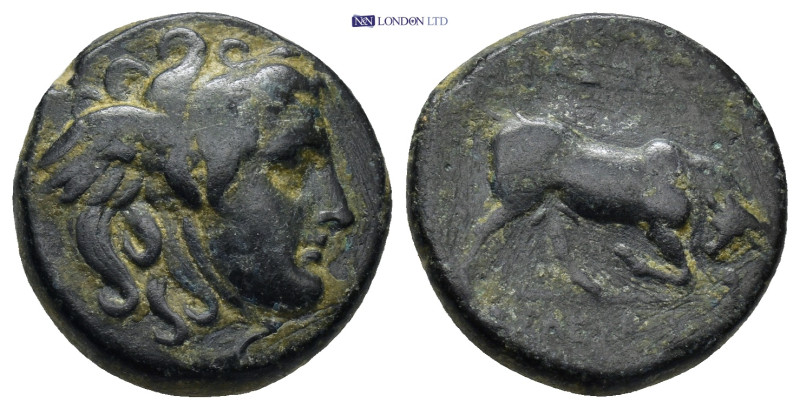 Seleucid Kingdom, Seleukos I 312-281 BC, AE (8.04 Gr. 19mm.)
Winged head of Medu...