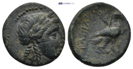 SELEUKID KINGDOM. Achaios (Usurper, 220-214 BC). Ae. (18mm, 4.61 g) Sardes. Obv: Laureate head of Apollo right. Rev: BAΣIΛEΩΣ AXAIOY. Eagle standing r...