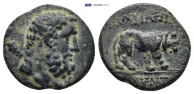 GALATIA, Kings of. Amyntas . 36-25 BC. AE (5.1 Gr. 19mm.)
Head of bearded Herakles right, club over shoulder 
Rev. AMYNTOY in exergue, lion walking ri...