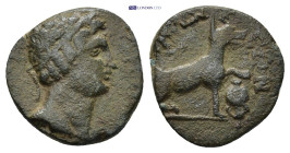 Phrygia, Laodikeia, c. 3rd century AD. AE (2.5 Gr. 15mm.). 
Diademed head of Demos right. 
Rev. Wolf standing right, forepaw on downwards amphora.