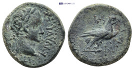 Phrygia. Amorium Claudius AD 41-54. (4.69 Gr. 19mm.)
Laureate head to right 
Rev. Eagle with closed wings standing to right.