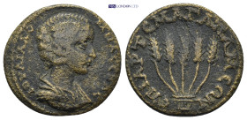 Phrygia. Apameia . Julia Domna AD 193-217. (5.7 Gr. 21mm)
Draped bust right 
Rev. EΠI APTEMA Γ AΠAMEΩN, five corn ears.