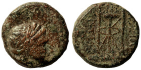 Antiochos II. Theos. (261-246 BC). Bronze Æ. (18mm 6,95g) Antioch.