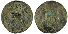 Ionia. Ephesos. (202-133 BC) Bronze Æ. (19mm, 4,73g). Obv: bee. Rev: deer in front of palm tree.