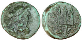 Sicily. Syracuse. Hieron II. (275-215 BC) Bronze Æ. (17mm, 6,30g) Obv: head of Poseidon right. Rev: trident.