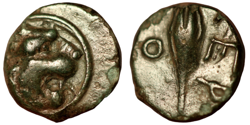 Thrace. Chersonesos. (386-309 BC) Bronze Æ. (10mm 0,95g) Obv: lion head right. R...