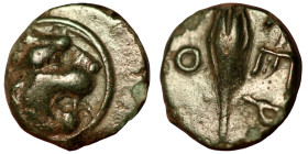 Thrace. Chersonesos. (386-309 BC) Bronze Æ. (10mm 0,95g) Obv: lion head right. Rev: barley grain. 