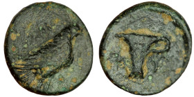 Aeolis. Kyme. (320-250 BC) Bronze Æ. (10mm 1,02g). Obv: eagle seated left. Rev: Oinochoe.