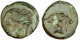 Aeolis. Aigai. (4.-3. Century BC). Bronze Æ. (9mm 1,14g). Obv: haed of Apollo right. Rev: Goat head right.