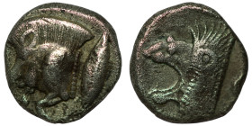 Mysia. Kyzikos. (450-400 BC) AR Diobol. (10mm, 1,15g) Obv: forepart of wild boar left and fish. Rev: head of roaring lion left.