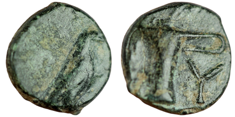 Aeolis. Kyme. (320-250 BC) Bronze Æ. (9mm 0,92g). Obv: eagle seated left. Rev: O...