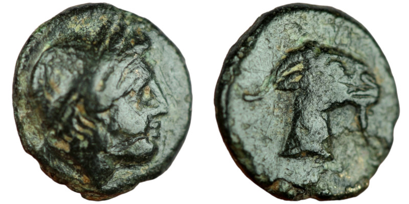 Aeolis. Aigai. (4.-3. Century BC). Bronze Æ. (9mm 0,88g). Obv: haed of Apollo ri...