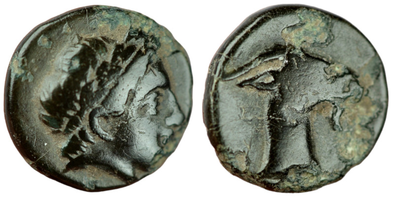 Aeolis. Aigai. (4.-3. Century BC). Bronze Æ. (9mm 0,93g). Obv: haed of Apollo ri...