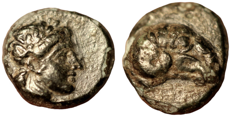 Troas. Cebrene. (350-310 BC) Bronze Æ. (8mm 0,95g) Obv: head of Apollo right. Re...