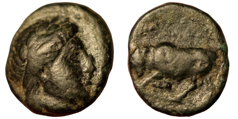Mysia. Gambrion. (350-300 BC) Bronze Æ. (9mm 1,01g) Obv: laureate head of Apollo...