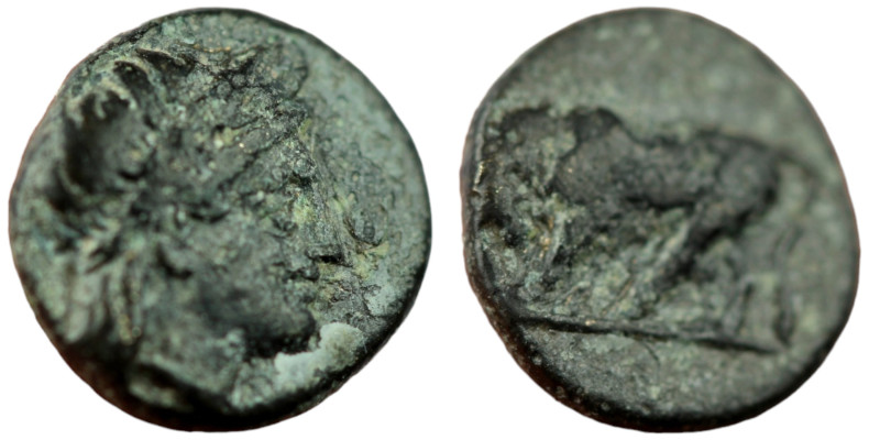 Mysia. Gambrion. (350-300 BC) Bronze Æ. (9mm 0,98g) Obv: laureate head of Apollo...